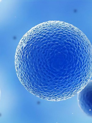 重要驱动因素！中山大学研究团队发现最新抗癌免疫疗法